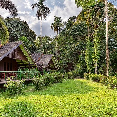 Khao Sok Riverside Cottages Khao Sok National Park Bagian luar foto
