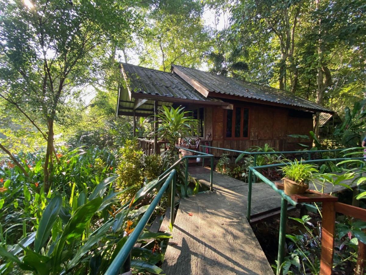 Khao Sok Riverside Cottages Khao Sok National Park Bagian luar foto