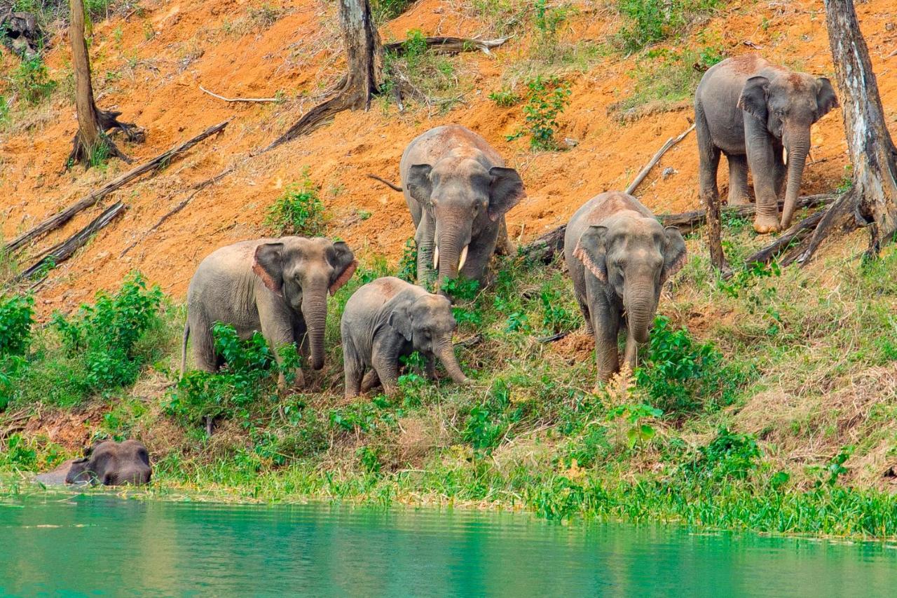 Khao Sok Riverside Cottages Khao Sok National Park Bagian luar foto