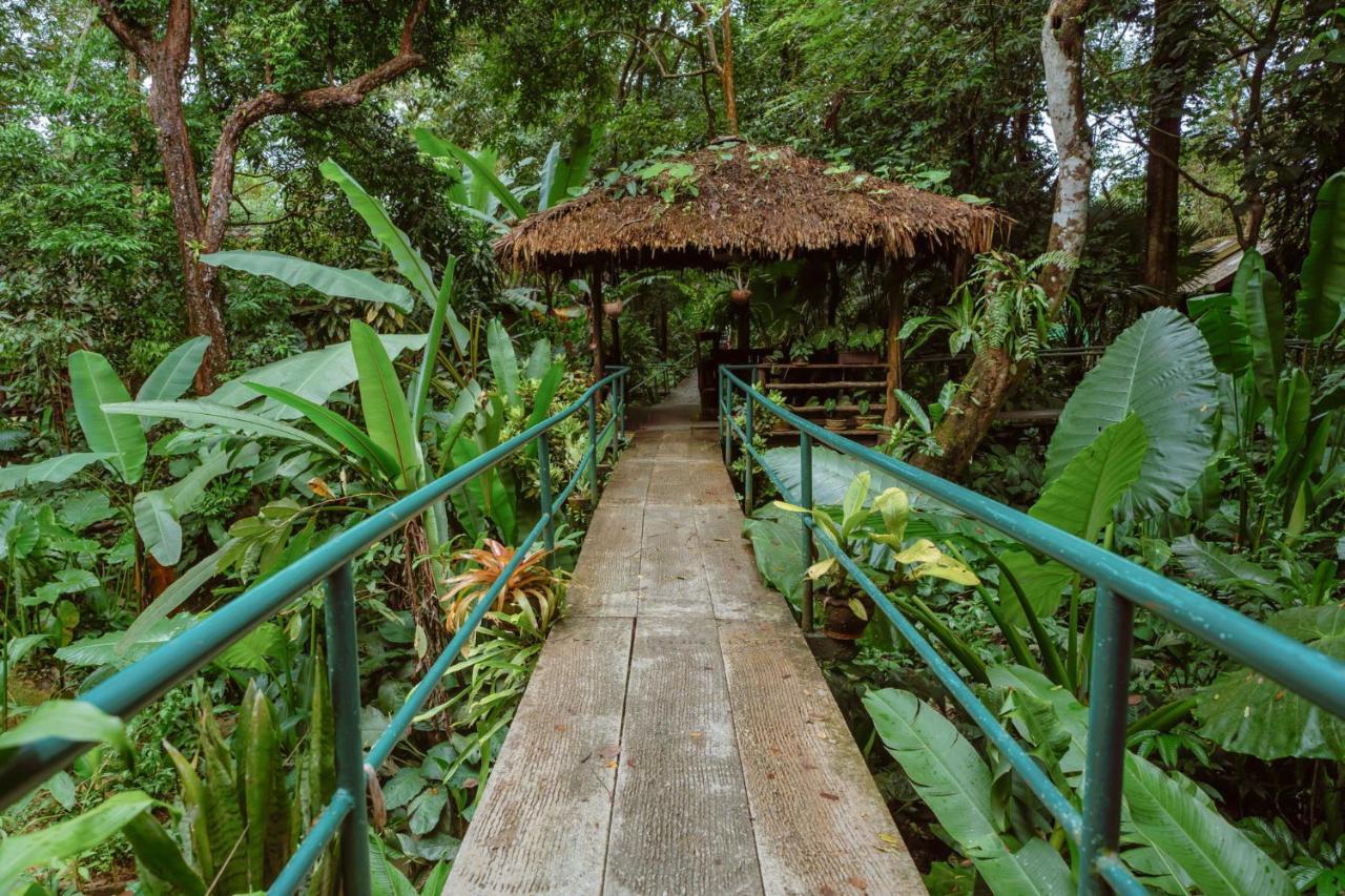Khao Sok Riverside Cottages Khao Sok National Park Bagian luar foto
