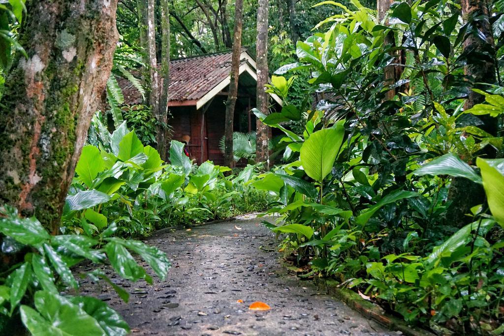 Khao Sok Riverside Cottages Khao Sok National Park Bagian luar foto
