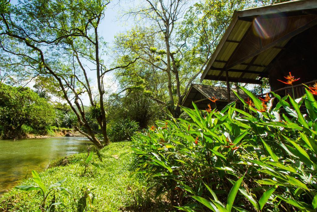 Khao Sok Riverside Cottages Khao Sok National Park Bagian luar foto