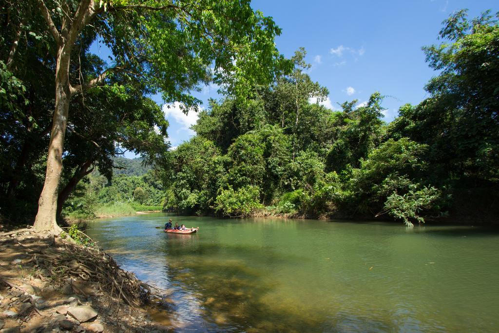 Khao Sok Riverside Cottages Khao Sok National Park Bagian luar foto