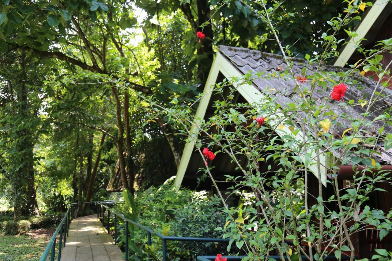 Khao Sok Riverside Cottages Khao Sok National Park Bagian luar foto